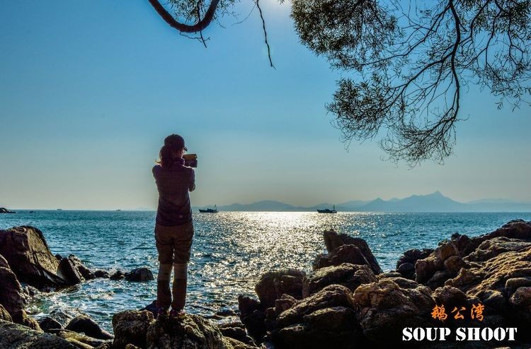 mmexport1543912161983