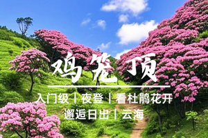 4.24晚-25【阳春鸡笼顶】徒步粤西大草原，偶遇杜鹃花，打卡“风吹草低见牛羊”的高山草原。