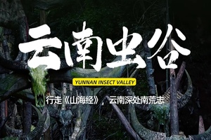 昆明集合【云南虫谷7天】哀牢山原始森林徒步、翁丁原始部落、西盟龙摩爷、勐梭龙潭。报名付定金