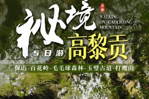 保山集合【端午高黎贡5天】毛毛球森林、玉璧古道、打鹰山、滇西抗战纪念馆、和顺古镇。报名付定金