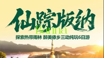 余9位【西双版纳6天】昆明、抚仙湖、野象谷、原始森林公园、傣族园、中科植物园。报名付定金 