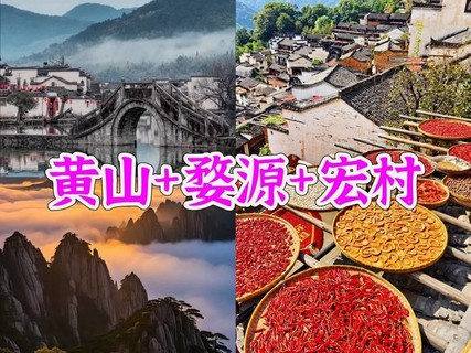 满员 10.2-5【黄山+婺源4天】安徽黄山登天都峰+婺源篁岭，水墨宏村，赣州古城。报名付定金。