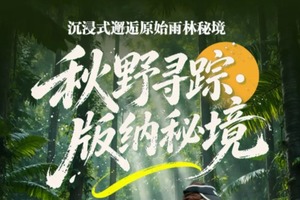 动车往返【秋假. 西双版纳6天】昆明、勐泐大佛寺、野象谷、原始森林公园、傣族园、中科植物园。报名付定金 