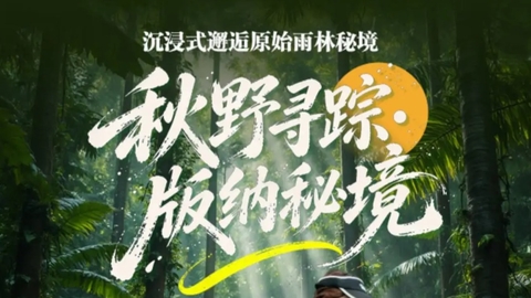 动车往返【秋假. 西双版纳6天】昆明、勐泐大佛寺、野象谷、原始森林公园、傣族园、中科植物园。报名付定金 