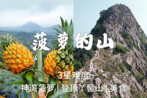 3.15周日【菠萝的山】90元起，中山菠萝的山11km徒步，体验采摘，美食