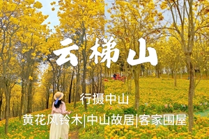 还能报名，3.15周日【云梯山】赏黄花风铃木，打卡中山故居、客家土楼品美食 