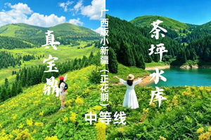 成团，7.3晚-5日【茶坪水库+真宝顶】广西版“阿勒泰”真宝顶、故事的小黄花
