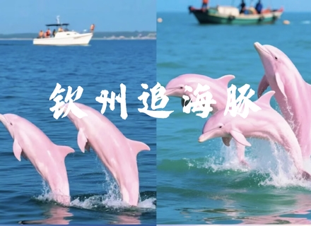 成团了，9.25-27【钦州寻海豚3天】阳春春湾石林+龙宫、钦州观海豚 钦州老街 湛江火山岛-硇洲岛。报名付定金