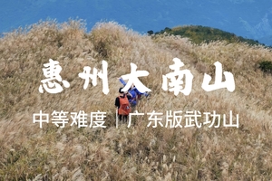 随时可报，10.24 周六【大南山芦苇荡】惠东大南山斧头石看云海，13公里野路徒步。