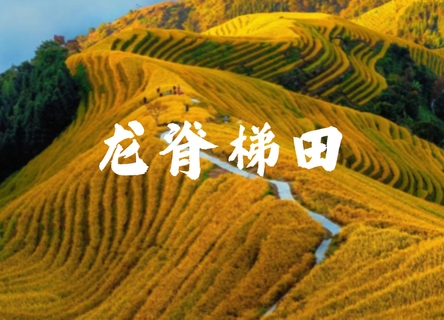 最后一期，10.23晚-25【龙脊梯田+阳朔】桂林龙脊梯田，遇龙河，十里画廊。报名付定金。