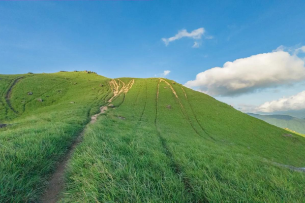 成团【港版武功山】10.19周六，香港鸡公岭8km徒步，绿色高山草甸，带上通行证