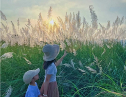 已成团>11.1周六【芦苇花盛开】江边芦苇花盛开，飞来峡古栈道，尝北江美味河鲜