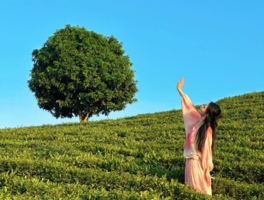 11.2周日【墨园村】行摄惠州万亩茶园，墨园村休闲徒步，不爬山