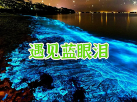 12.31晚-1.3【泉州+平谭】平谭追蓝眼泪，蟳浦渔女戴簪花、泉州古城、平潭68海里。报名付定金。