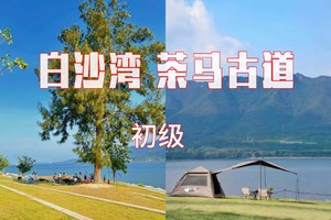 成团>11.1周六【茶马古道+盐灶村】55元起，探秘大鹏茶马古道，坝光盐灶村，银叶树湿地公园