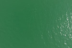 天韬广告公司万绿湖团建