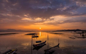 成团了，11.16周日【盐洲岛】65起，白鹭归巢、绝美日落，渔船出海捕鱼、观古法制盐。