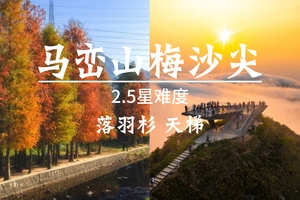 成团了，12.21周日【落羽杉 梅沙尖】十峰之梅沙尖、马峦山郊野公园，大华兴寺祈福。