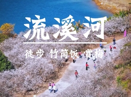 1.3日【流溪河梅花】竹林徒步，赏梅花梅，逛古镇，品特色竹筒饭