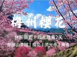 成团了，3.7-8【梅州樱花】阴那山茶园樱花，灵光寺，千佛塔，油罗街美食2天，报名是付定金。