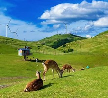 动车高铁【清明郴州3天】小东江+高椅岭+仰天湖+九龙水寨+白廊+长卷+裕后街+马皇丘/瓦窑坪。报名付定金