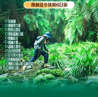 高铁动车【西双版纳6天】雨林徒步、抚仙湖、野象谷、原始森林公园、告庄星光夜市、勐泐大佛寺、中科植物园。报名付定金