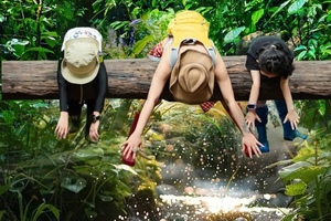 2-8人小团【版纳5天】雨林徒步、般若寺、野象谷、傣族村寨、告庄星光夜市、勐泐大佛寺、中科植物园。报名付定金