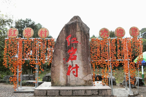 成团了，1.1-2【恭城柿子2天】千年黄姚古镇、恭城红岩村柿子红。报名付定金