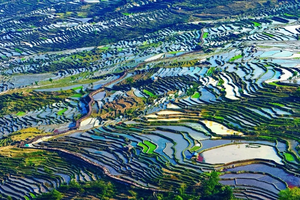 【滇越印象7天】中越口岸、北越Sapa风光小镇、哀牢山原始森林、撒玛坝万亩梯田、弥勒东风韵、太平湖森林公园。报名付定金