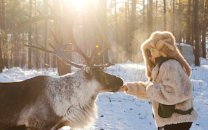 【雪国列车5日】北极村、北红村、圣诞村、龙江第一湾、中国最北点、白桦林、马拉爬犁、驯鹿、滑雪。报名付定金