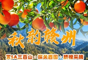 成团>11.8-9【秋韵赣州】5A三百山赏秋、打卡围屋关西围、摘脐橙体验、黄道生骑楼老街。报名付定金