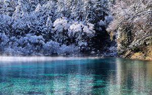 【童话川北6日】九寨沟、三星堆、毕棚沟、达古冰川、平武报恩寺、古尔沟温泉、半自由行。报名付定金