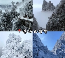 1.1-3【郴州3天】莽山邂逅冰雪雾凇、云海、东江湖、白廊游船、高椅岭、马皇丘大峡谷、瓦窑坪、裕后街。报名付定金