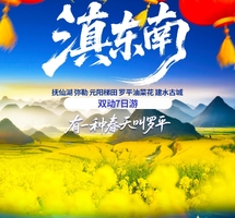 高铁动车【春节滇东南7天】昆明 弥勒 建水 元阳梯田 罗平油菜花。报名付定金