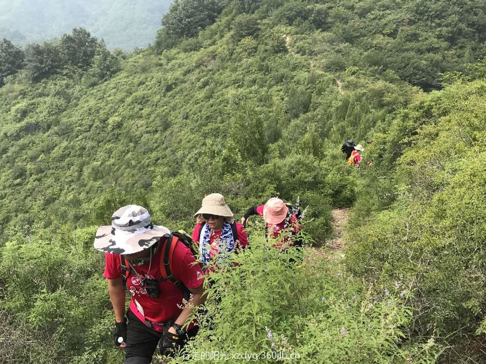 mfZjeFC3hb_EllGsq95X8T9vzsSbpPknscgSXx58antM6Q4rg3-B3Ru0CkunChJR