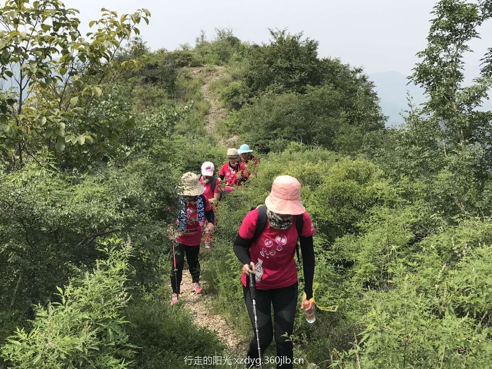 Tdvq_xRxUogP6dgCpvd4kvSXDnq3F6wW2PF0mqmBPta0Qj6eSjwTTzvZ0iHgt4EL