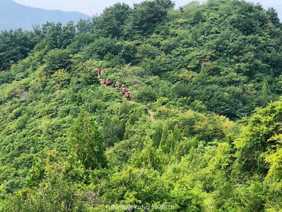 PQJTJIjfkJ1IUGTCf9ha_FGYQu2na03NThYIPA6G22hIoawv18piNNTZW-80s2VT