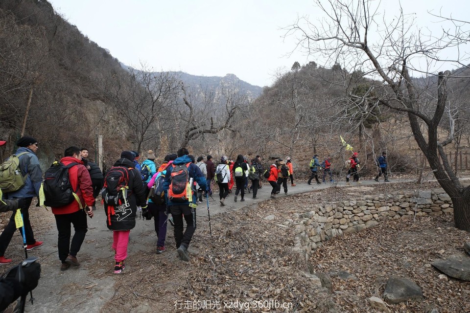 mmexport1547455051534