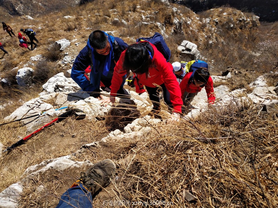 mmexport1552801249657