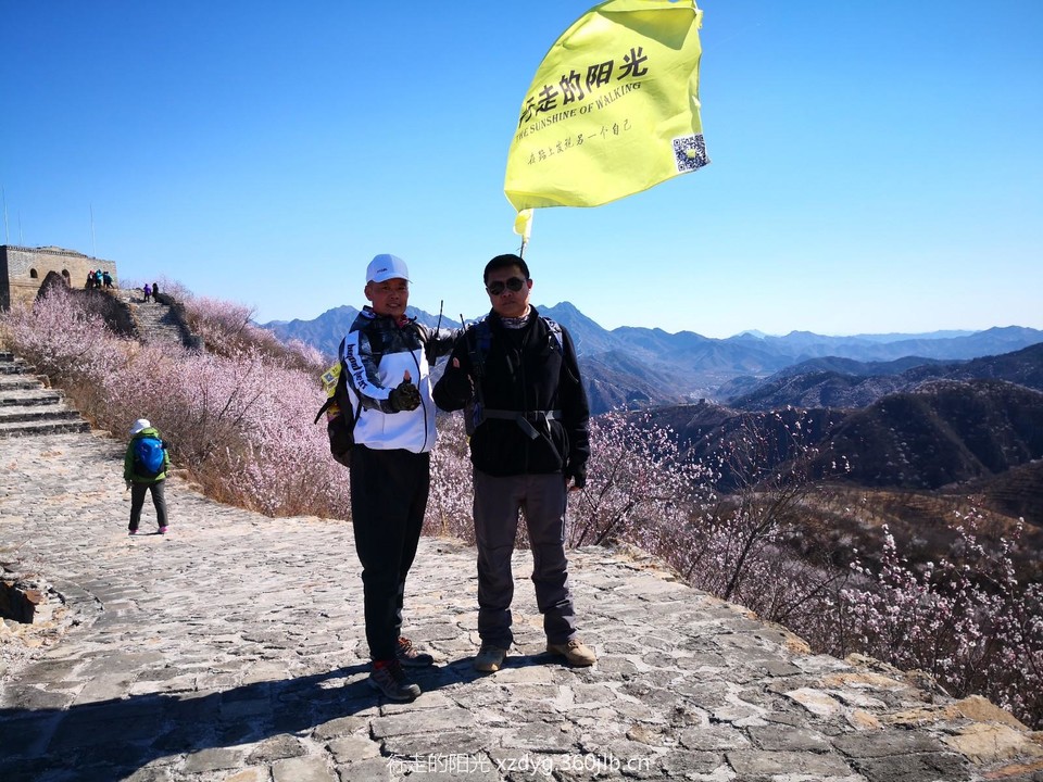 mmexport1553523491876