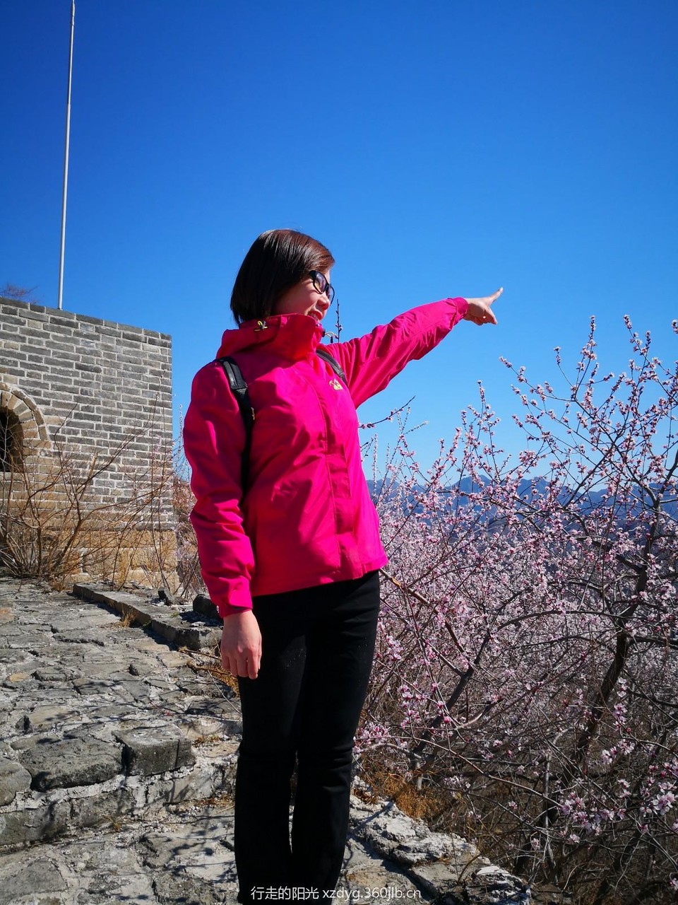 mmexport1553523365436