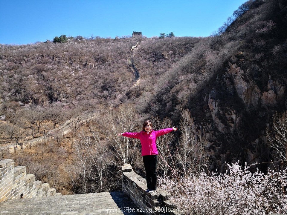 mmexport1553523258664