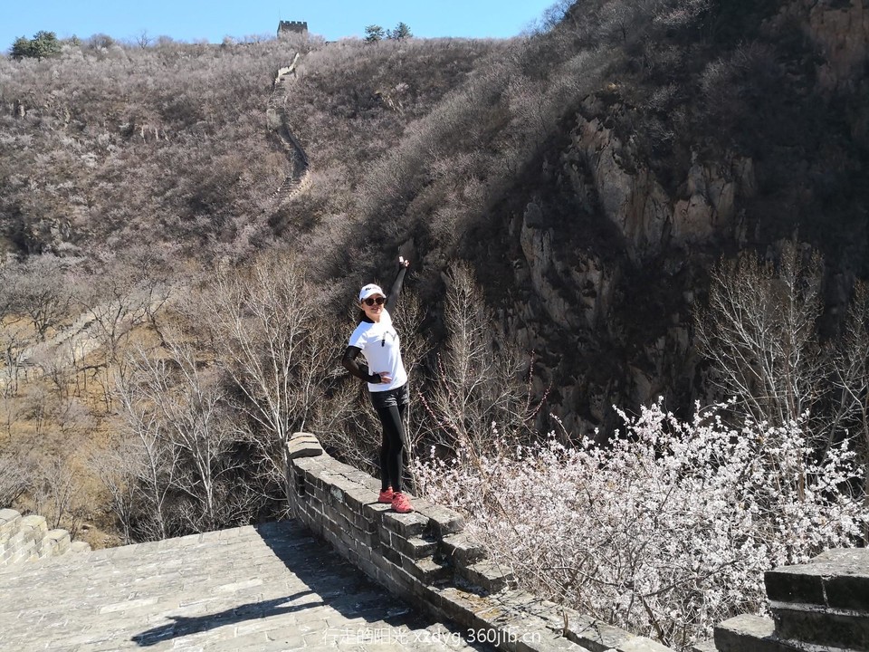 mmexport1553523241477