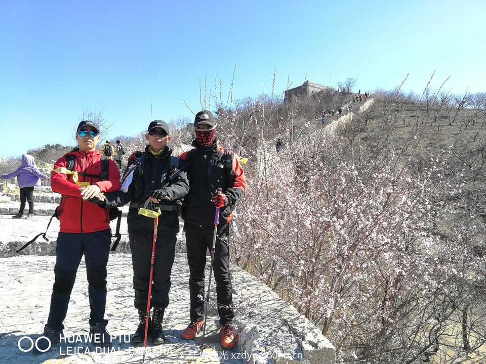 mmexport1553522880922