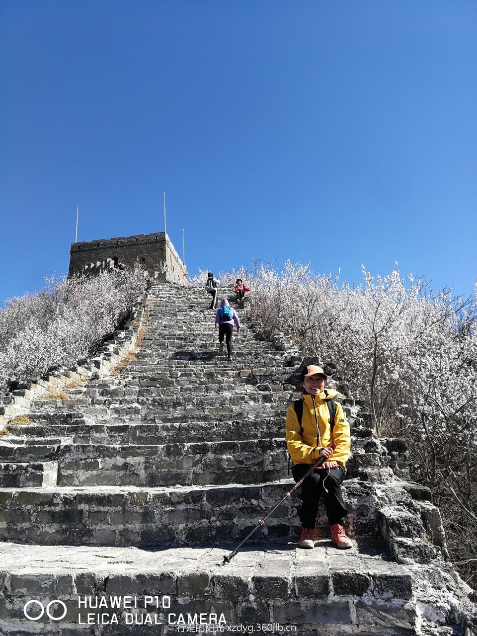 mmexport1553522861986