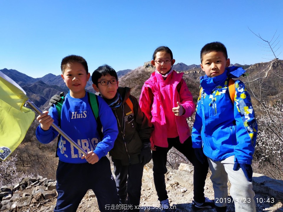 mmexport1553522738626