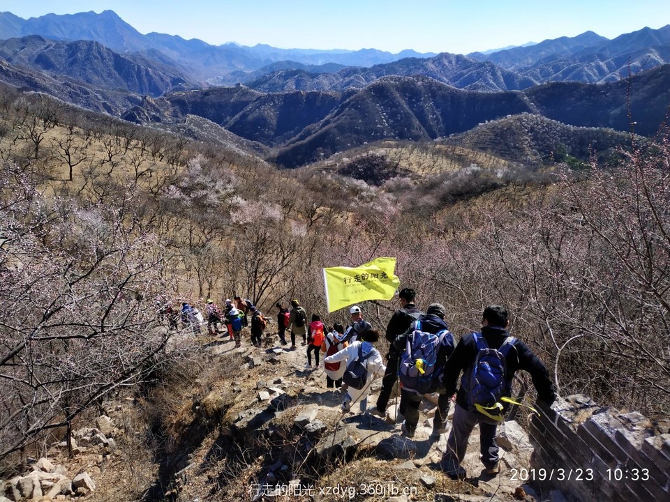 mmexport1553522671999