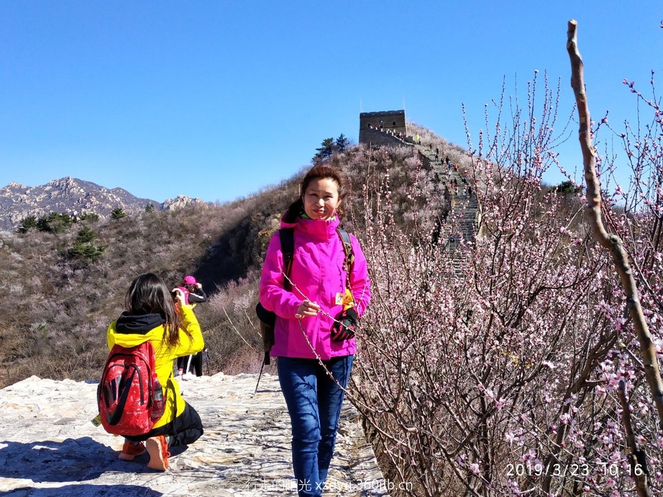 mmexport1553522645898