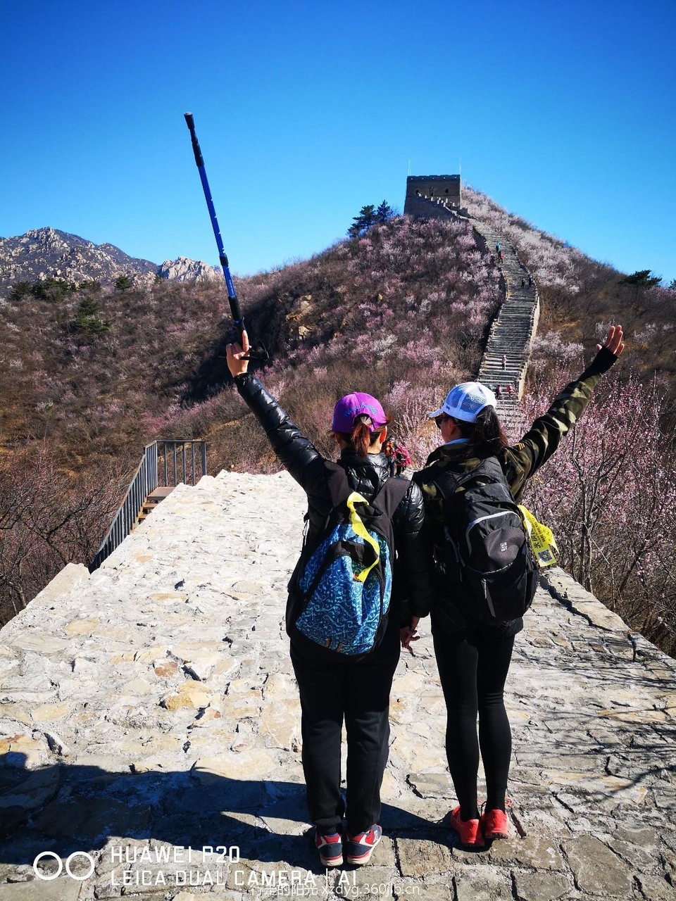 mmexport1553522524611