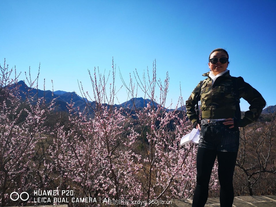 mmexport1553522511786